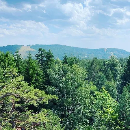 Divcibarski Cardak Divčibare